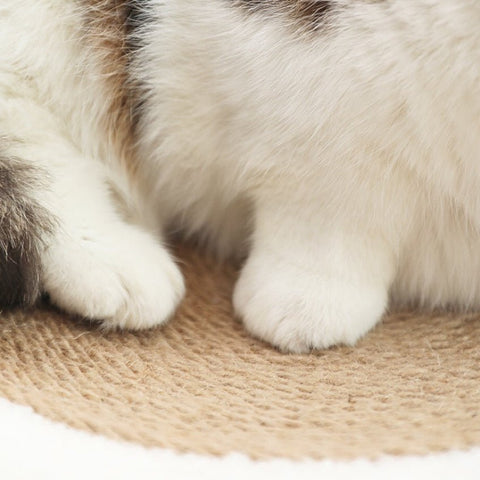 Fun alpaca-shaped sisal scratcher for small to medium cats, promotes active play