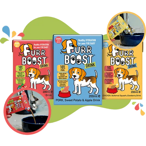 FURR BOOST Healthy Hydration For Your Fur Baby For Dogs - Pets Villa