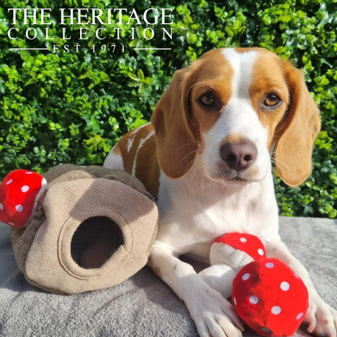 Ancol Heritage Firm Cuddly Dog Toy – Interactive Mushrooms & Eco-Friendly Plush