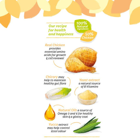 HILIFE its only natural Kitten Tender Chicken - Pets Villa