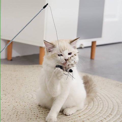 Close-up of dangling insect wings on ALL FOR PAWS Cat Teaser