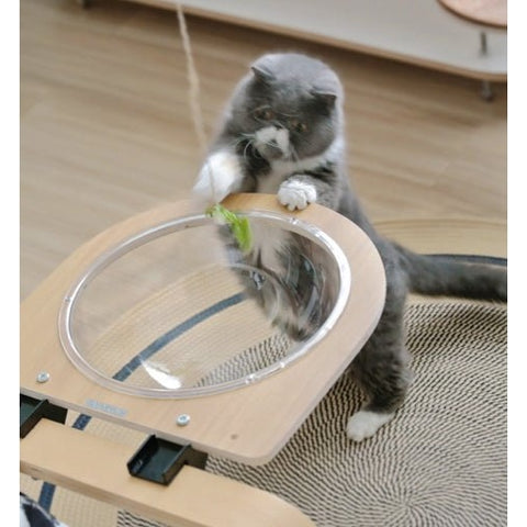 JOYCAT Space Bowl or Board Clamp Bed - Pets Villa