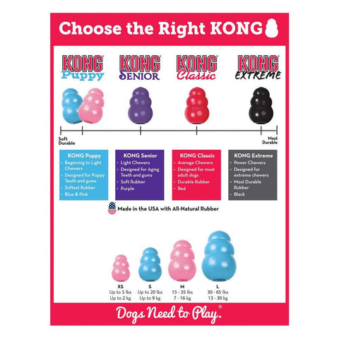KONG Puppy - Pets Villa