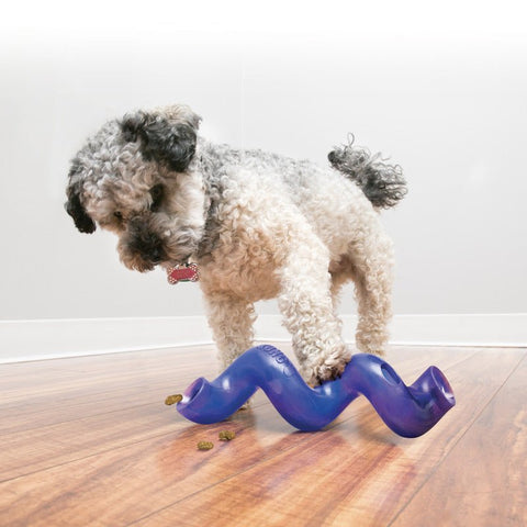 KONG Treat Spiral for Dogs Assorted - Pets Villa