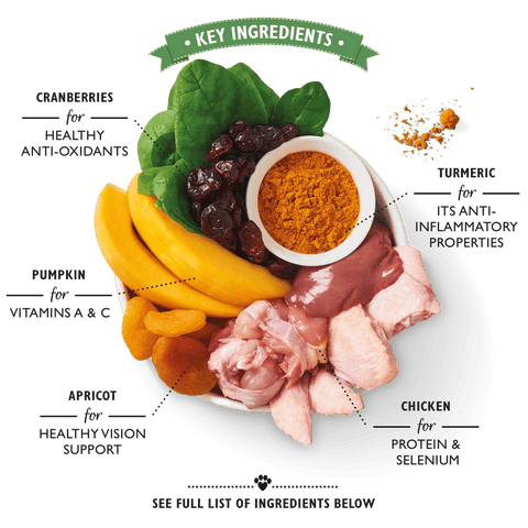 LILY'S KITCHEN Coronation Chicken - Pets Villa