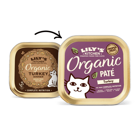 LILY'S KITCHEN Organic Turkey Paté for Cats - Pets Villa