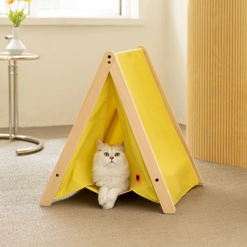 Pet tent bed best sale