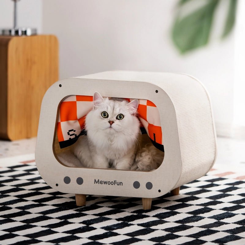 Cat top play box
