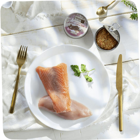 MJAMJAM Pure Fillet Pleasure - Tender Salmon & Chicken - Pets Villa
