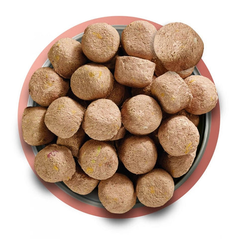 NATURES MENU Complete & Balanced 80/20 Freeze Dried Beef - Pets Villa