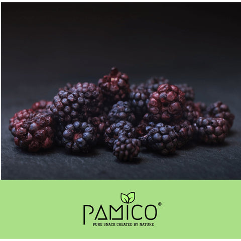 PAMICO - Goodies Blackberries Freeze-Dried 30g - Pets Villa