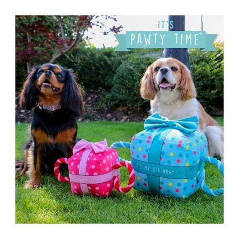 Petco Pawty Time Tugger Rope Toy – Fun, Durable, Eco-Friendly for Dogs