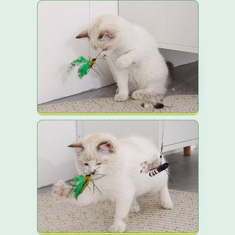 Playful cat engaging with ALL FOR PAWS Insect Cat Teaser