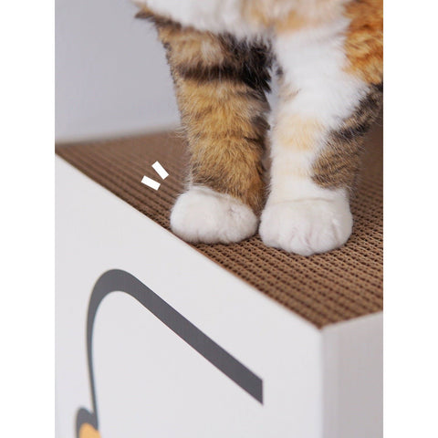 PURROOM Double Layer Scratcher Box - Pets Villa