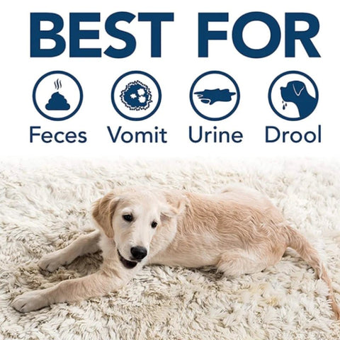 SIMPLE SOLUTION Extreme Dog Stain & Odour Remover Spary 500ml - Pets Villa