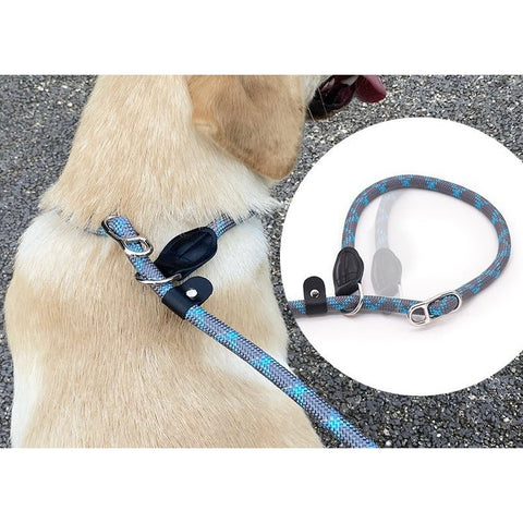 Slip Lead Dog Training - Pets Villa