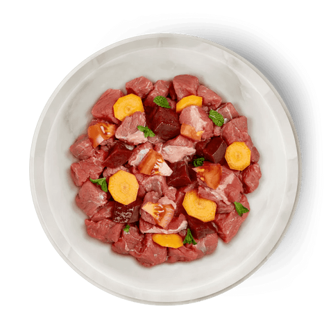 TERRA FELIS Adult Cat Beef - Pets Villa