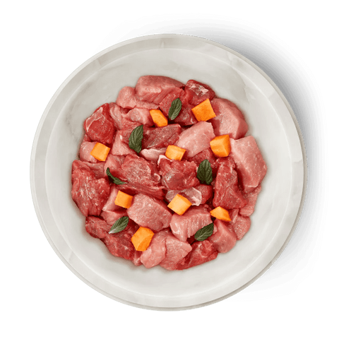 TERRA FELIS Adult Cat Beef & Rabbit - Pets Villa