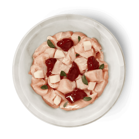 TERRA FELIS Adult Cat Chicken - Pets Villa