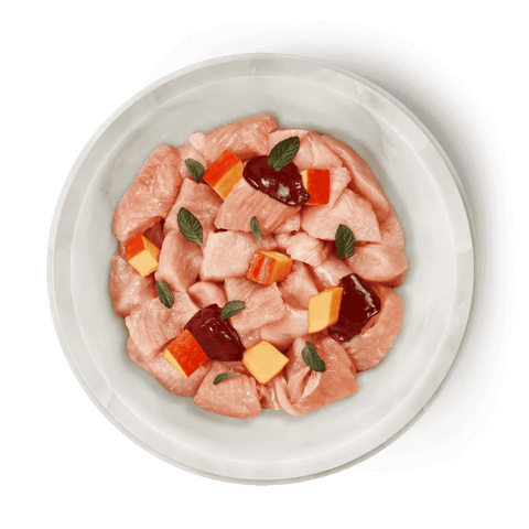 TERRA FELIS Adult Cat Chicken & Turkey - Pets Villa