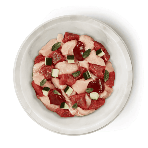 TERRA FELIS Adult Cat Lamb & Chicken - Pets Villa