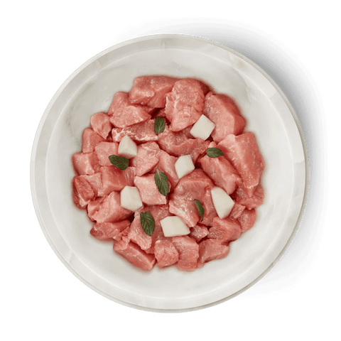 TERRA FELIS Adult Cat Rabbit - Pets Villa