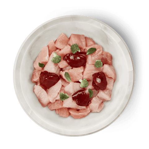 TERRA FELIS Adult Cat Turkey - Pets Villa