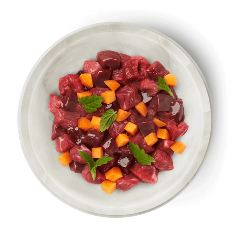 TERRA FELIS Kitten Mono Beef - Pets Villa