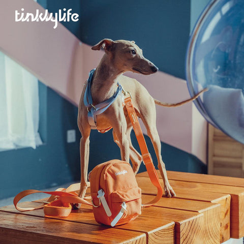 TINKLYLIFE Pet/Human Due Use Backpack - Pets Villa