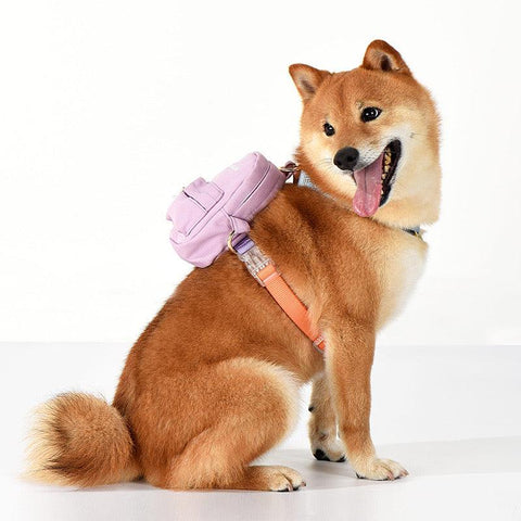 TINKLYLIFE Pet/Human Due Use Backpack - Pets Villa