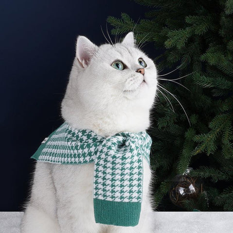 ZEZE Pet Cape - Pets Villa
