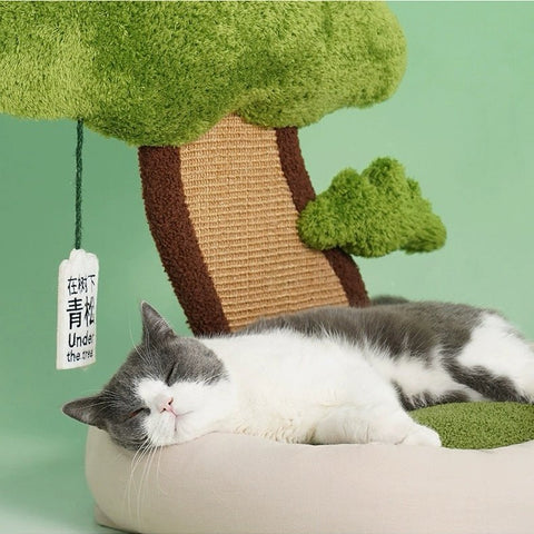 ZEZE Pine Tree Cat Scratching Pad & Bed - Pets Villa