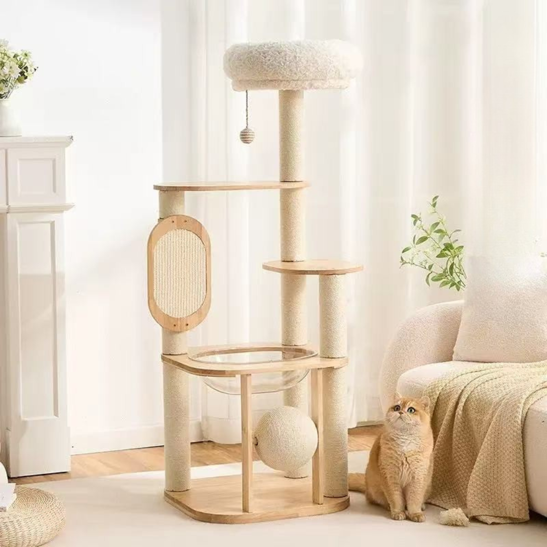 Natural Classic Cat Climbing Frame Review | Petsvilla Guide – Pets Villa