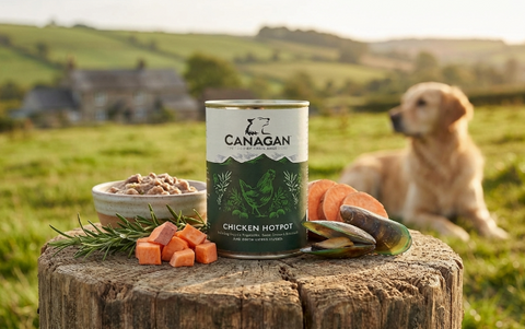 The Ultimate Guide to Premium Pet Nutrition: Why UK Pet Owners Choose Petsvilla as Their Trusted Canagan Food Supplier