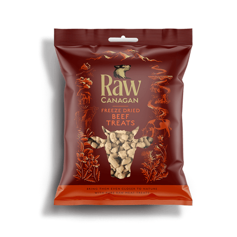 CANAGAN Raw Freeze-Dried Beef Dog Treats