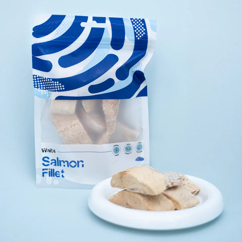 Front image of WAITA Freeze Dried Salmon Fillet 40g  - Pets Villa.