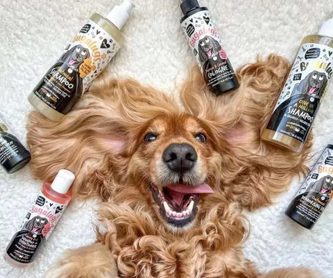 Up To 40% Off Bugalugs