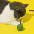 ZEZE Sweet Candy Silvervine Cat Toy (Random) - product image. This is a product of Pets Villa.