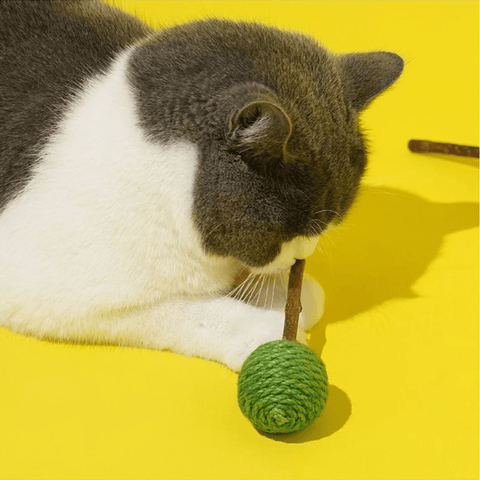 ZEZE Sweet Candy Silvervine Cat Toy (Random) - product image. This is a product of Pets Villa.