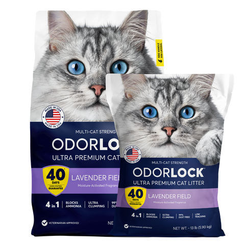 INTERSAND Odourlock Litter Lavender Field