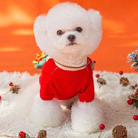 Christmas Red Knitted Pet Sweater