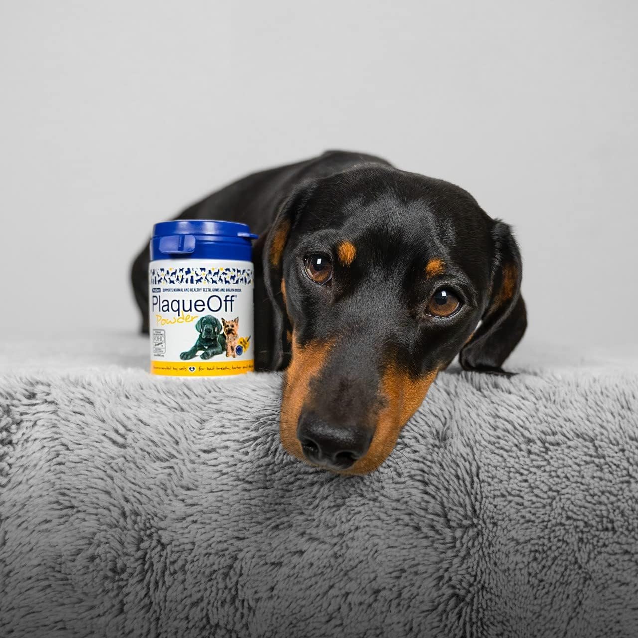 PRODEN PlaqueOff Powder for Dogs & Cats - product image. This is a product of Pets Villa.