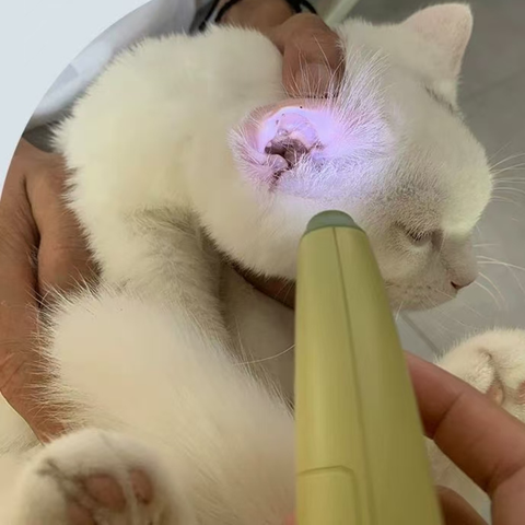 LED light image of AIWO Banana LED Nail Clipper - Pets Villa. 