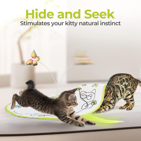 Image of kittens playing with ALL FOR PAWS 2in1 Butterfly Electric Cat Toy with Hide and Seek - Pets Villa. 