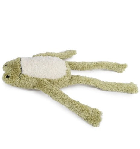 Product image of ALL FOR PAWS Titan Gnaw Karla the Frog Dog Toy - Pets Villa. 