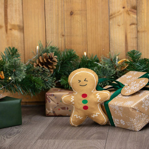 Front image of ANCOL Christmas Georgia Gingerbread Dog Toy - Pets Villa. 