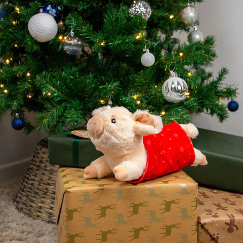 Front image of ANCOL Christmas Paloma Pig in Blanket Dog Toy - Pets Villa.