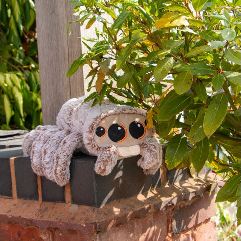 Image of ANCOL Cuddle Sid Spider Dog Toy outside - Pets Villa.