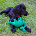 Dog with ANCOL Small Bite Dino Dog Toy - Pets Villa.