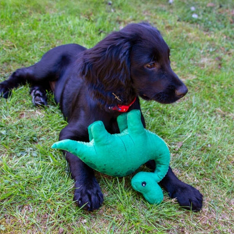 Dog with ANCOL Small Bite Dino Dog Toy - Pets Villa.